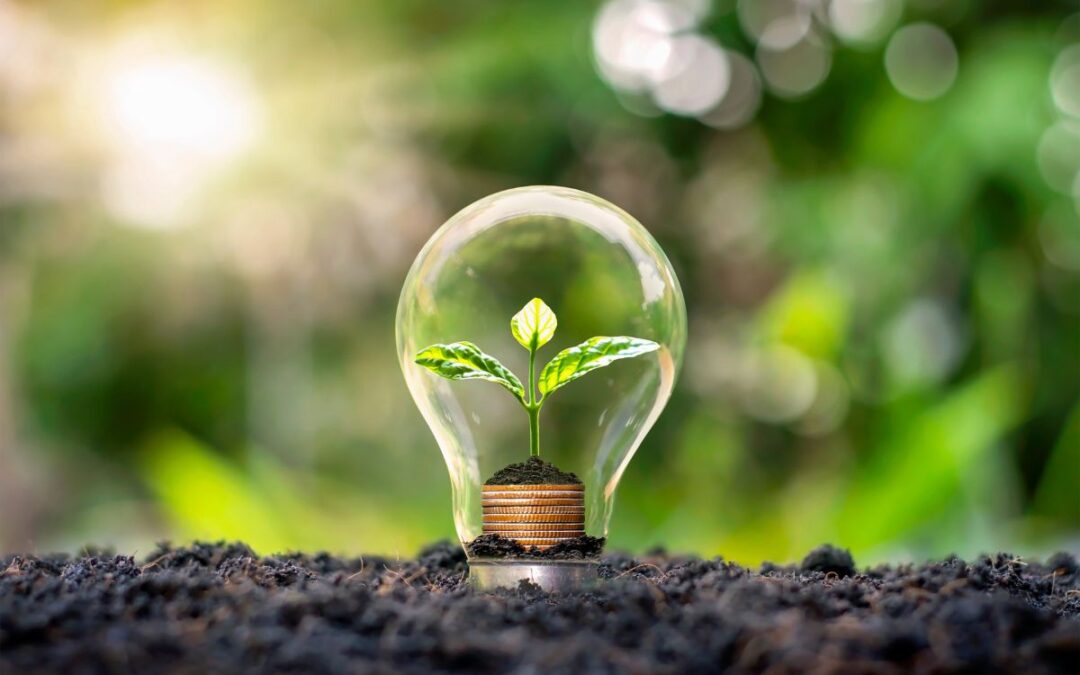 La Cátedra de Cambio Climático convoca la IX edición del Premio Millán Millán a la mejor tesis doctoral